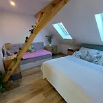 Hajenka